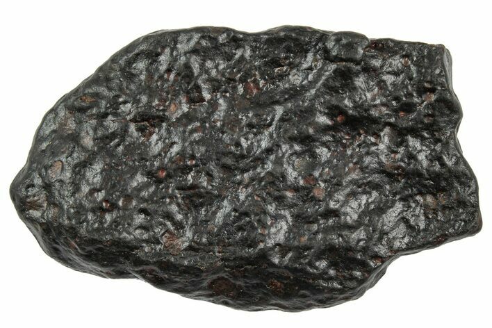 Carbonaceous Chondrite Meteorite ( g) - NWA #333043